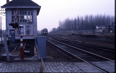 Waregem - TH 78-683.jpg